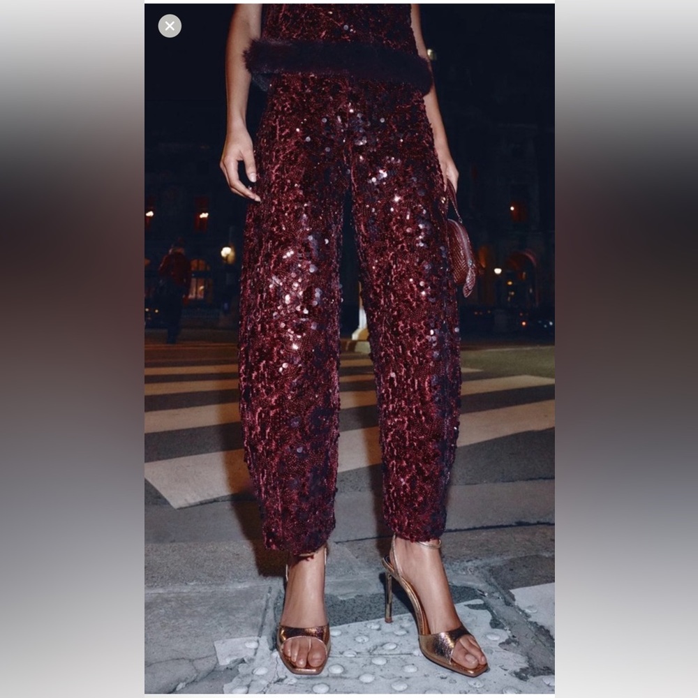 Zara Burgundy Sequin Cropped Pants
Size xs